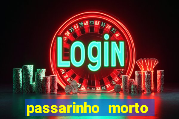 passarinho morto significado espiritual